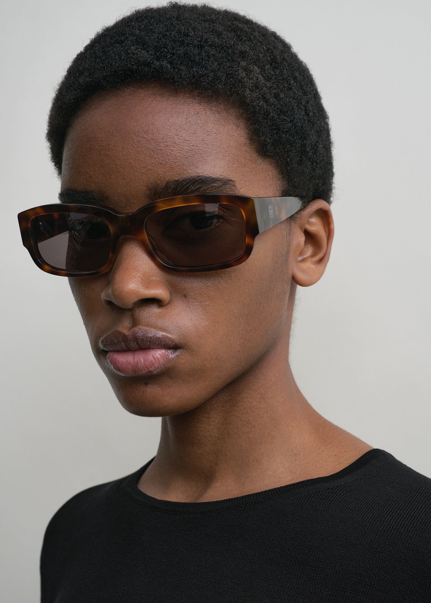 Regular sunglasses Havana 4 Regular sunglasses Havana
