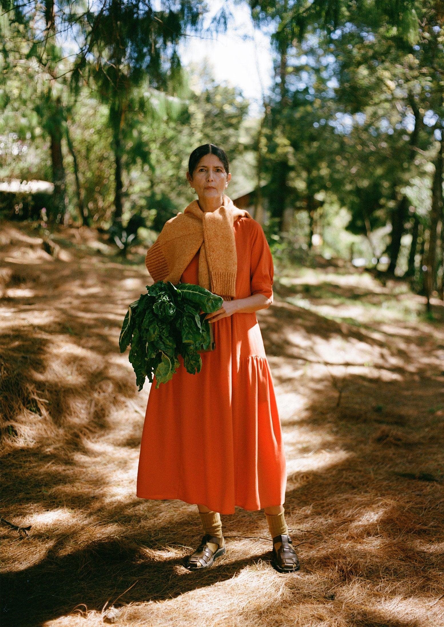 Tiered Twill Shirt Dress | Nasturtium 3 Tiered Twill Shirt Dress | Nasturtium